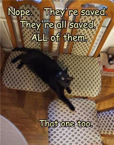 they're all saved